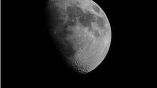 Luna Negra 2025.