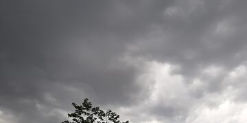 El clima en San Luis para Año Nuevo.