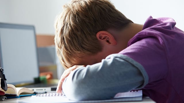 El bullying puede generar diferentes y severos trastornos en los niños que lo sufren.