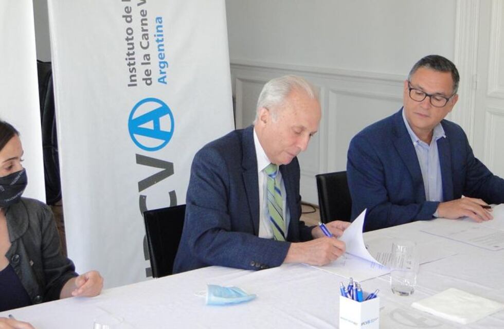 Determinación del impacto ambiental en la carne bovina