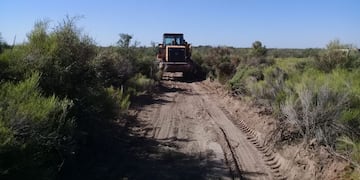 Campo en la zona de secano como en el que hallaron el cuerpo de Jiménez. Imagen ilustrativa.