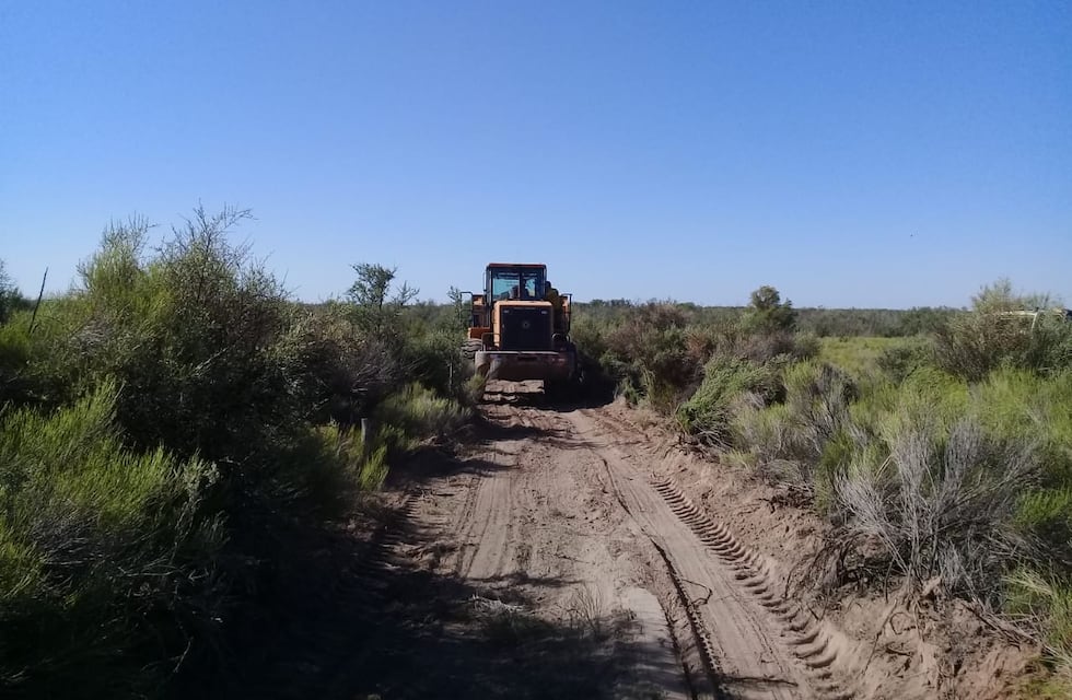 Lo buscaron por 48 horas y lo encontraron asesinado en un campo