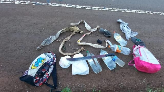 Parque Provincial Puerto Península: frenan apeo ilegal de palmitos.