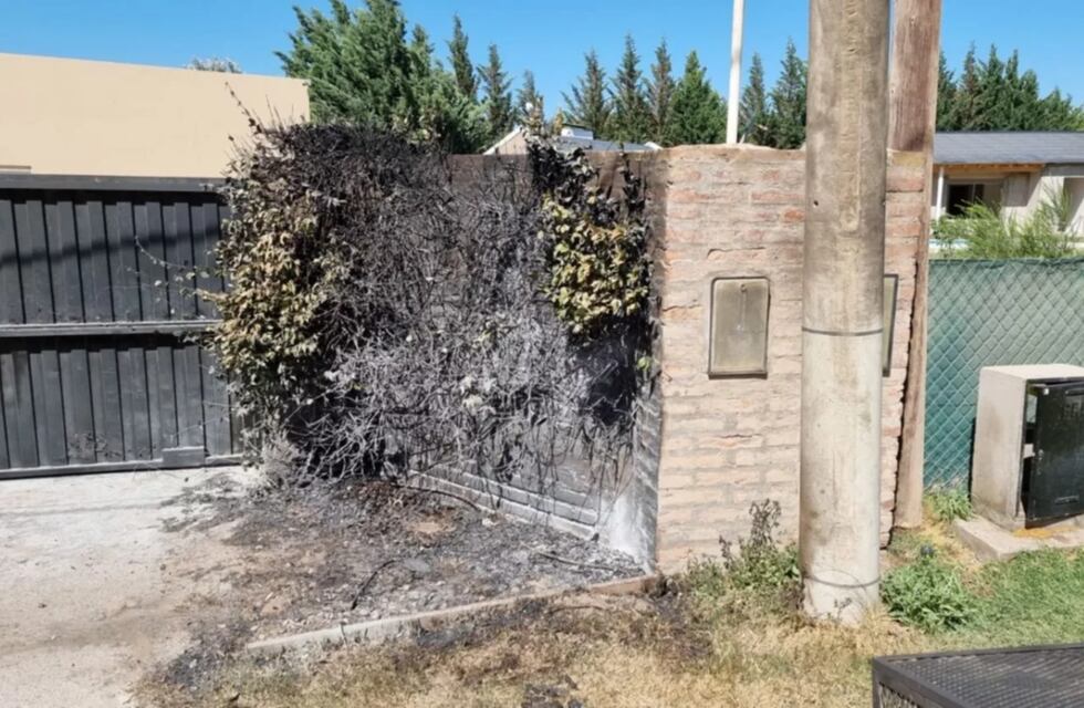 Bahía Blanca: atentaron contra la casa del titular de Región Sanitaria I