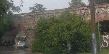 Arboles caídos y destrozos, por ejemplo en Saldán.