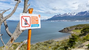 Tierra del Fuego: recuerdan la prohibición de hacer fuego para evitar incendios forestales