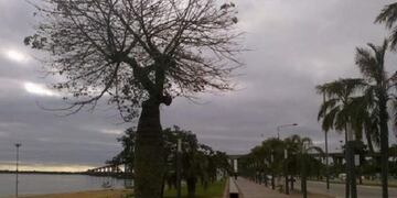 Pronóstico del tiempo para Corrientes