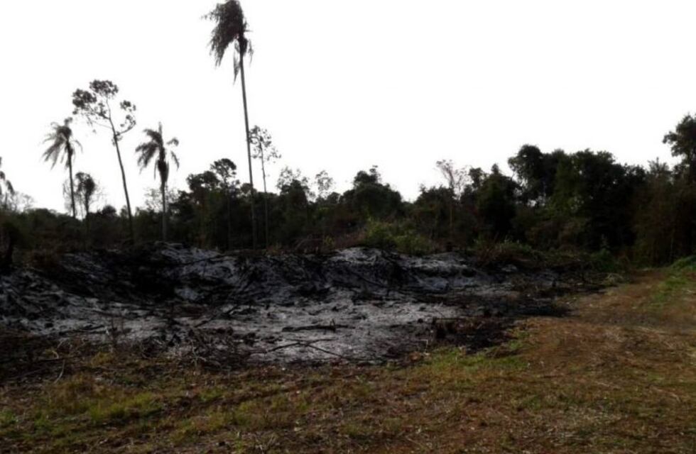 Corpus: vecinos alertaron sobre quemas en áreas de la reserva Puerto Maní