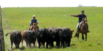 Uatre reclamó a dos provincias bajas de restricciones bancarias para pagar sueldos