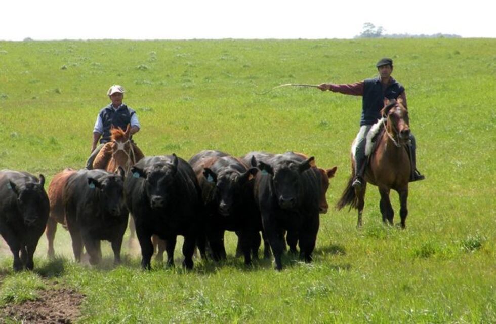 Uatre reclamó a dos provincias bajas de restricciones bancarias para pagar sueldos