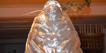 El lobo marino de Pallarols\u002E (Foto: elmarplatense\u002Ecom)