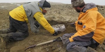 Descubrieron en la Antártida un reptil gigante de la última época de los dinosaurios (Agencia CTyS-UNLaM)