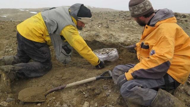 Descubrieron en la Antártida un reptil gigante de la última época de los dinosaurios (Agencia CTyS-UNLaM)
