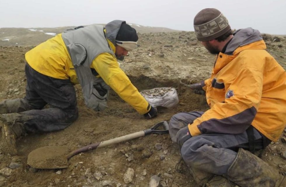 Descubrieron en la Antártida un reptil gigante de la última época de los dinosaurios