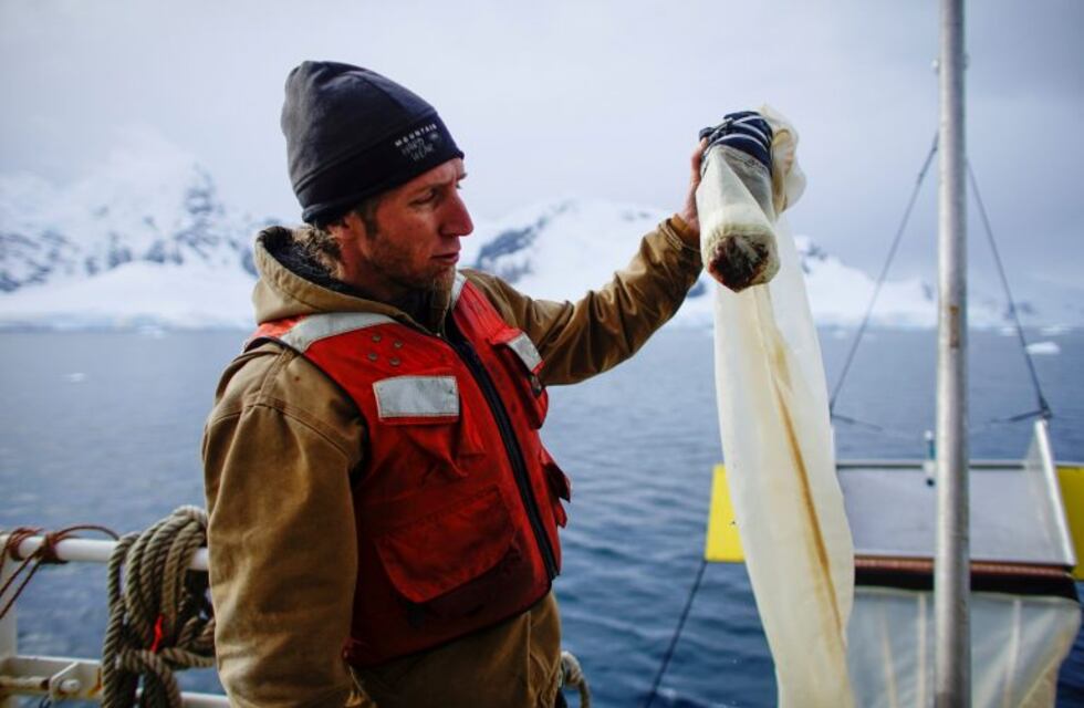 La contaminación plástica llegó a la Antártida
