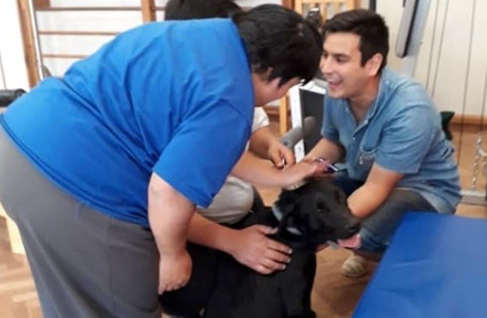 Programa Delta rescata perros de la calle y los educa