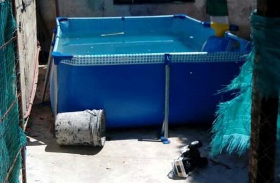 Un nene de tres años murió ahogado en la pileta de su propia casa