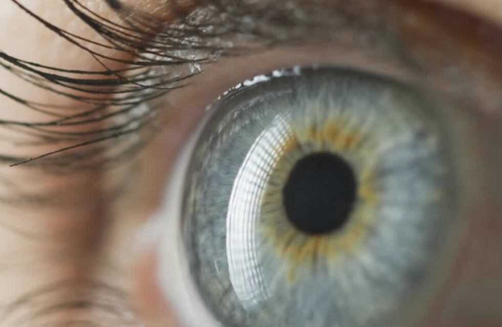 La maculopatía se puede prevenir con una dieta basada en vegetales de hoja