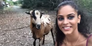 Mujer golpeada por cabra