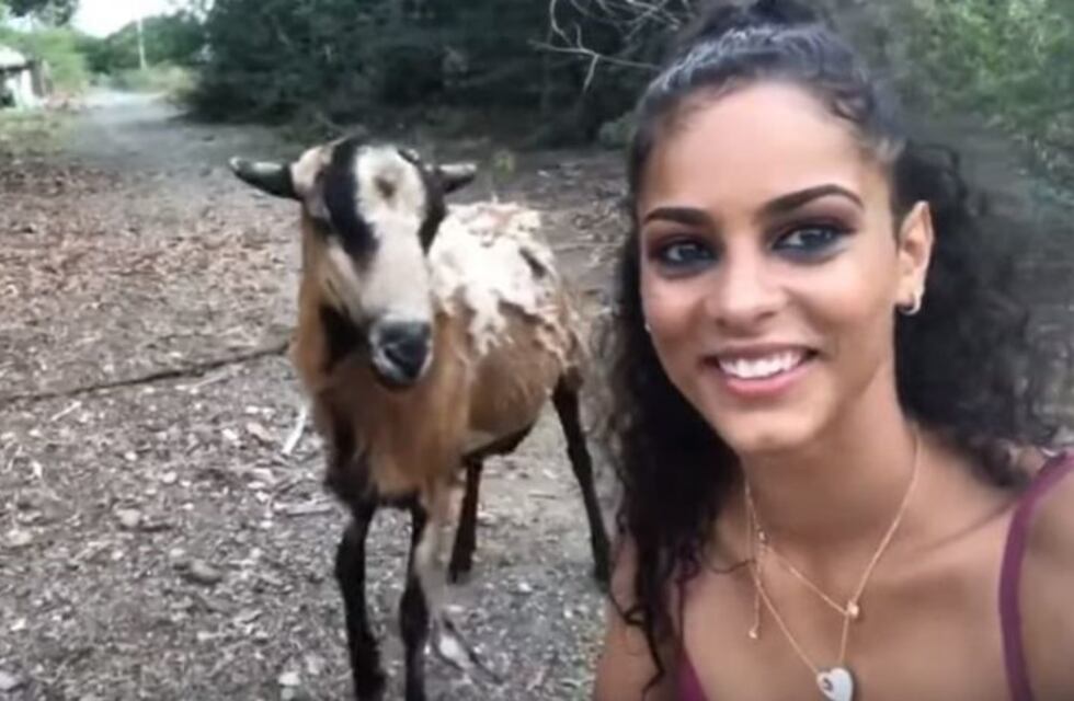 Una mujer intentó sacarse una selfie con una cabra pero terminó herida