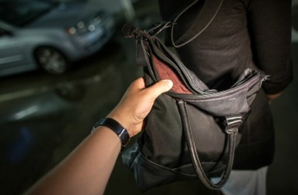 Quiso arrebatar una cartera y fue detenido