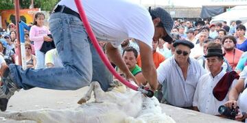 Zafra de esquila: dan a conocer que ingresaron a la provincia 492 trabajadores