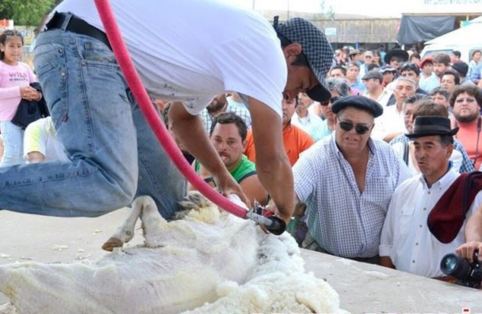 Todo preparado para celebrar la 34º Fiesta Nacional de la Esquila en Río Mayo
