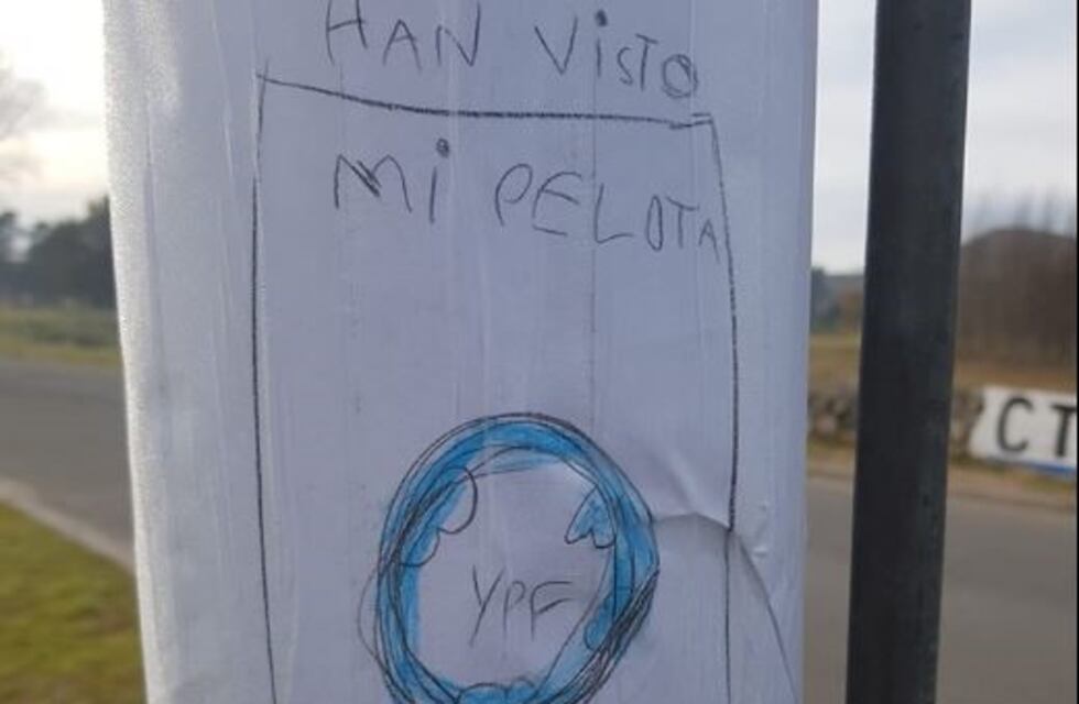 Un nene perdió su pelota, pegó carteles para recuperarla y terminó organizando un evento solidario