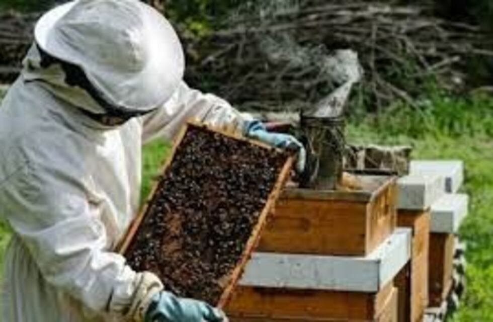 Cinco empresas entrerrianas exportarán miel a China