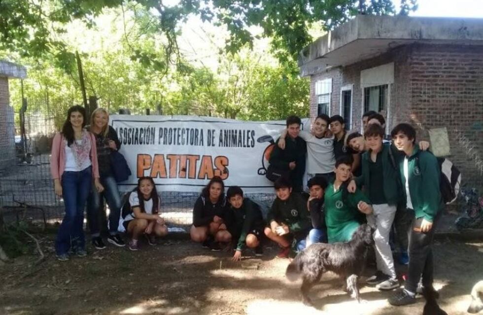 Difícil situación atraviesa la Ong Patitas, reclaman mayor asistencia al Municipio