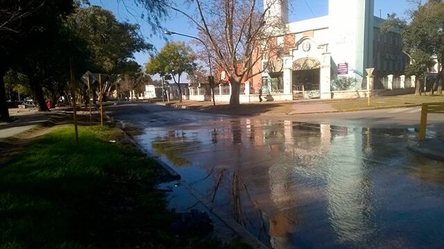 Investigadores de la Universidad Nacional de Córdoba detectaron bacterias resistentes a los antibióticos\u002E (Unciencia)