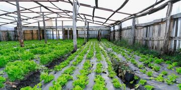 Capacitación en Hortícola en Tolhuin