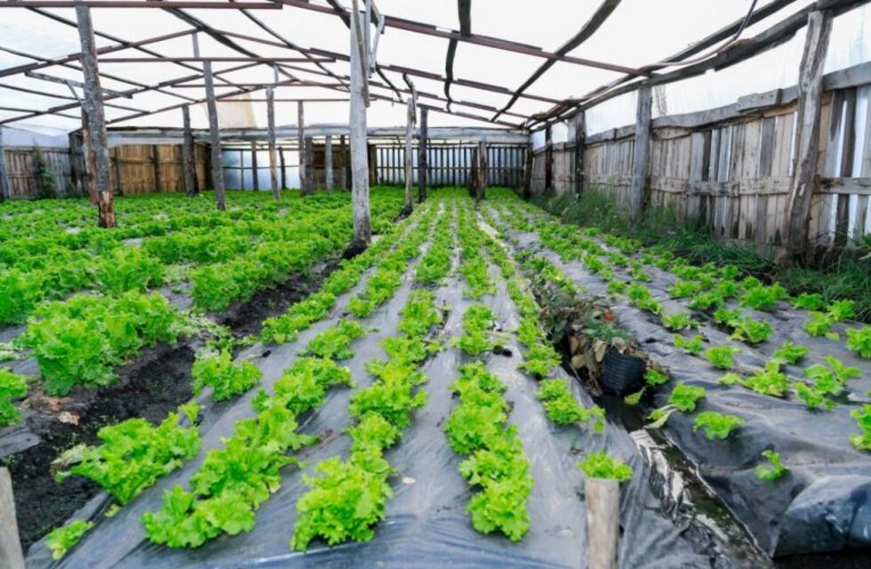 Se brindará la primera capacitación dirigida a productores hortícolas de Tolhuin