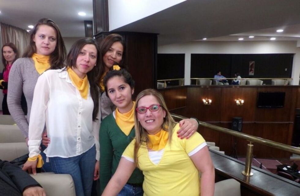 Diputados puntanos le dieron media sanción a la ley de endometriosis