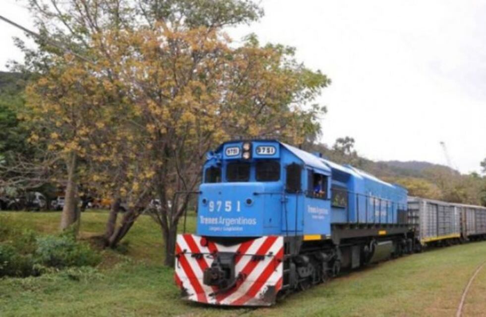 Le amputaron parte de una pierna a un adolescente que fue arrollado por un tren