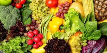 Senasa prorrogó las habilitaciones para abastecer de alimentos