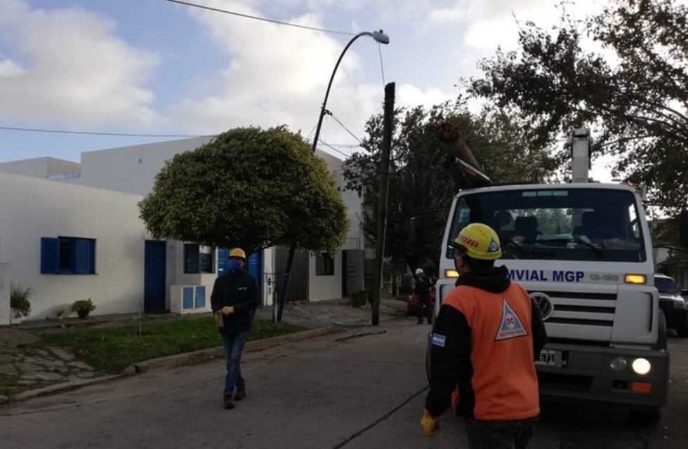 Diez evacuados y caídas de árboles y postes fue el saldo del temporal en Mar del Plata
