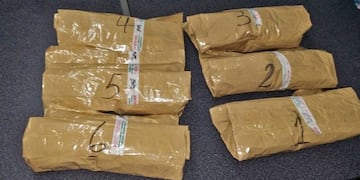 El control se realizó sobre el kilómetro 271 de la autopista a Buenos Aires\u002E (Gendarmería)