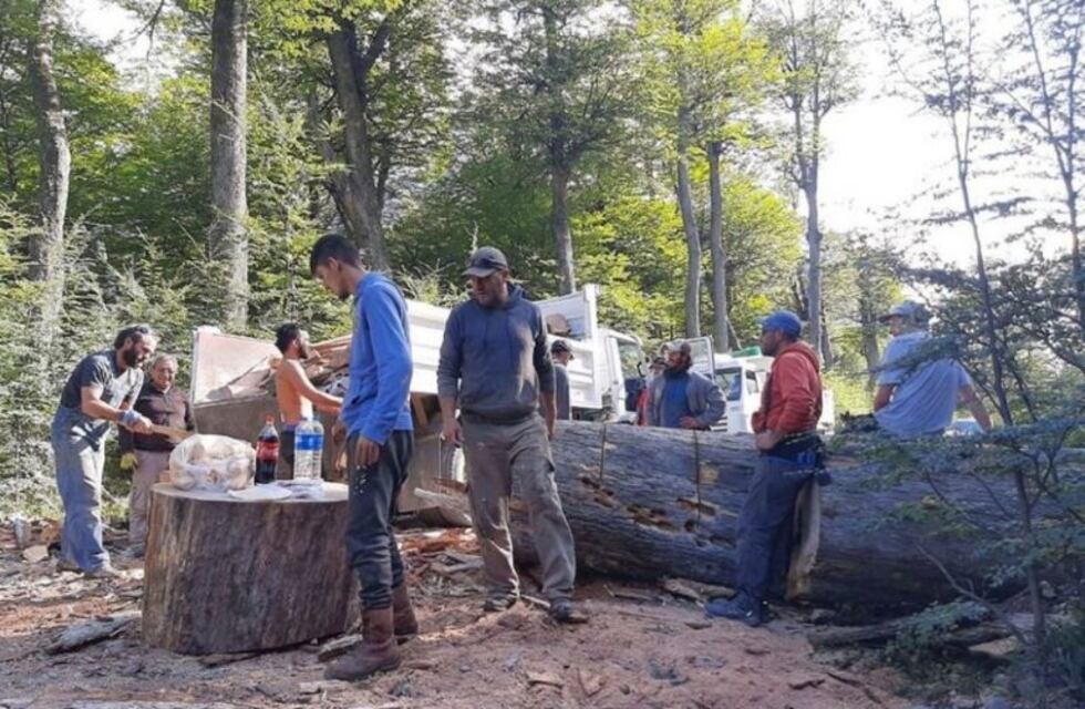 Realizan el acopio y la entrega de Leña