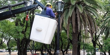 El robo se registró en la calle que conduce al Centro de Aislamiento de Coronavirus en el Parque Independencia\u002E (Archivo)