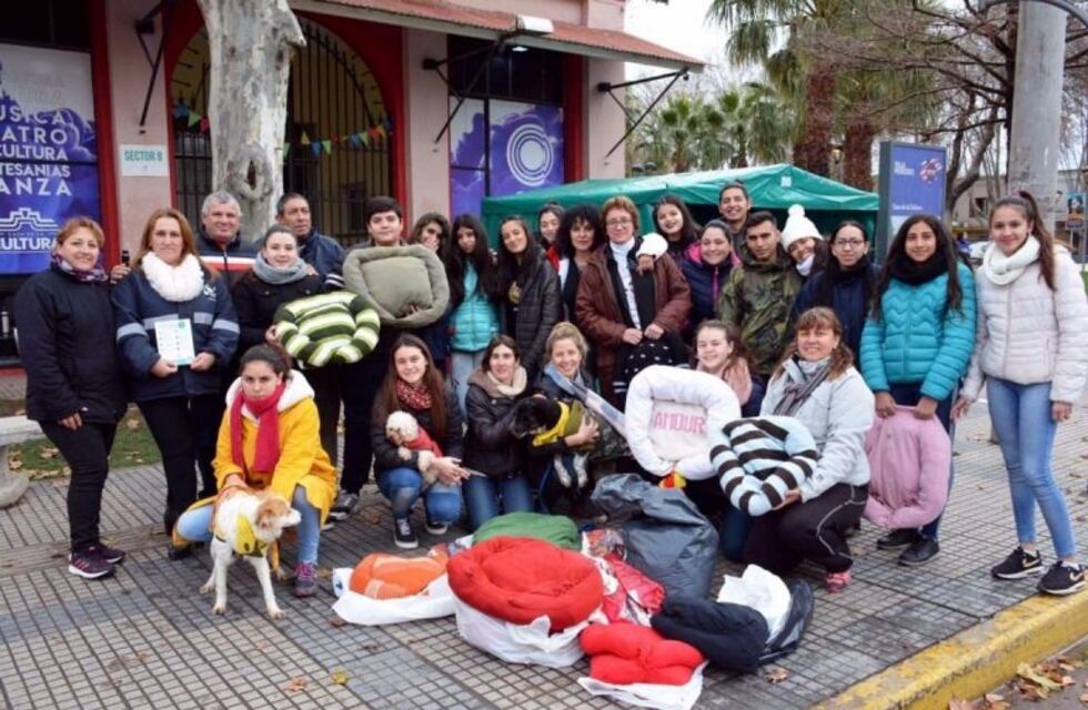 Alumnos de un colegio de Villa Mercedes donaron cuchas para perros