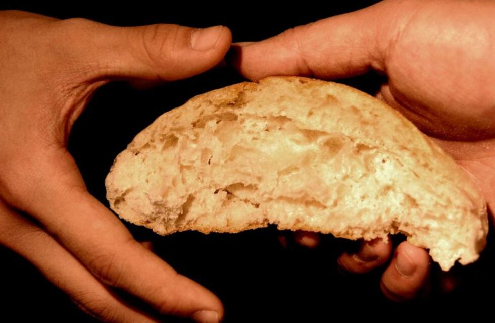 Alimentos: programa de aceleración para emprendedores