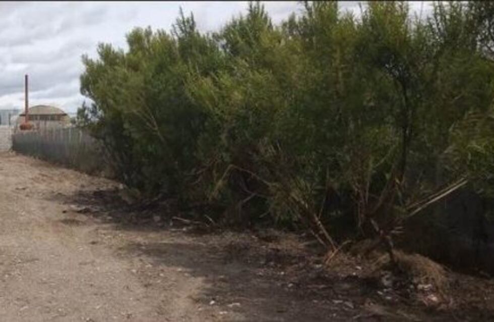 Se lleva adelante el plan de recuperación de espacios públicos