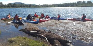 Colonias de verano 2019\u002E Tolhuin\u002E