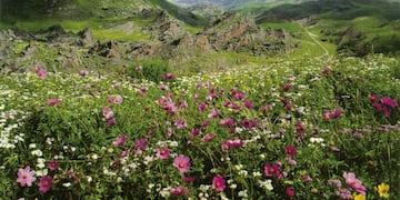 Valle Encantado (Tripin)