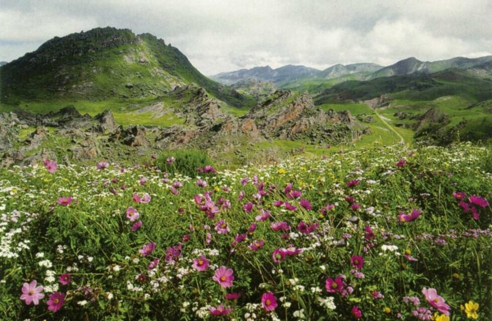 Turismo interno: cuáles son los lugares más lindos para visitar de Salta