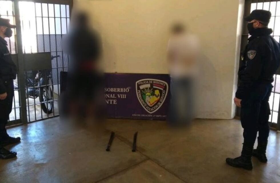 Intentaron robar una casa y atacaron con machetes a policías