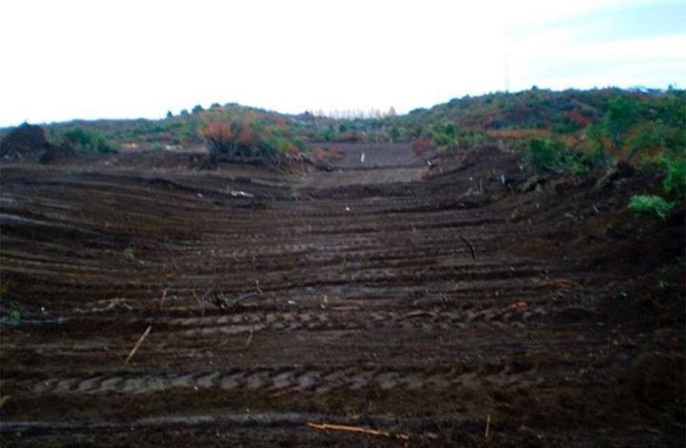 Denuncian a De Vido y a la ex intendenta de Bariloche por un fraude millonario con viviendas