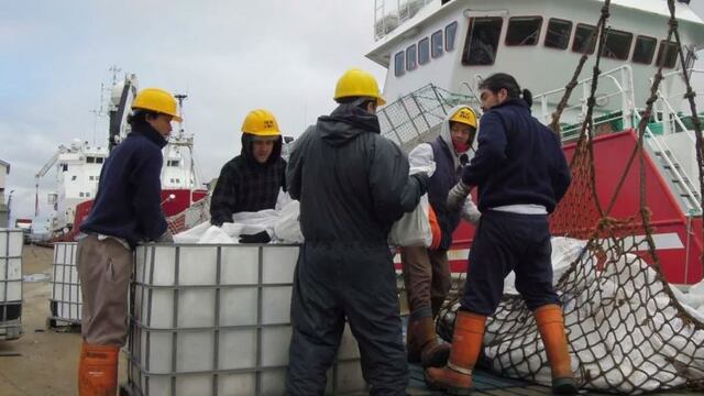El Brexit preocupa a quienes viven de la pesca de calamar en las Islas Malvinas (Foto: AP)