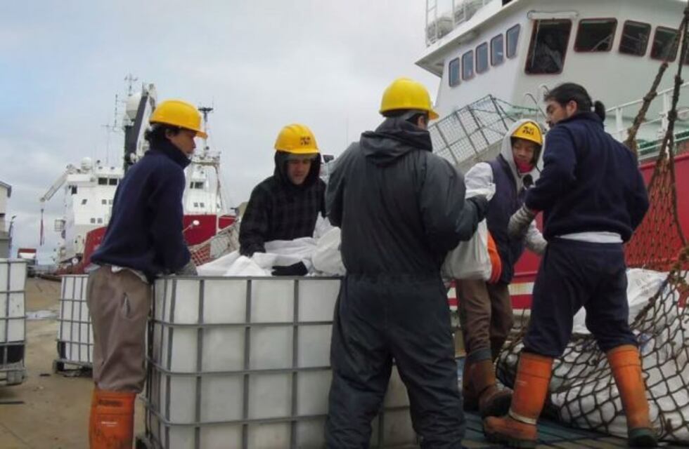 Desesperado pedido de las compañías pesqueras británicas en Malvinas